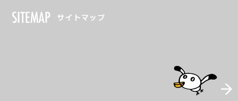 INTERVIEW 先輩紹介