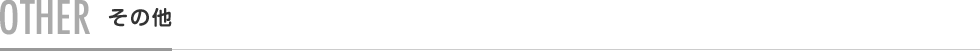 OTHER その他
