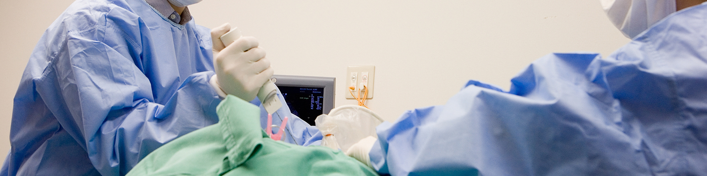 教育と研修 イメージ